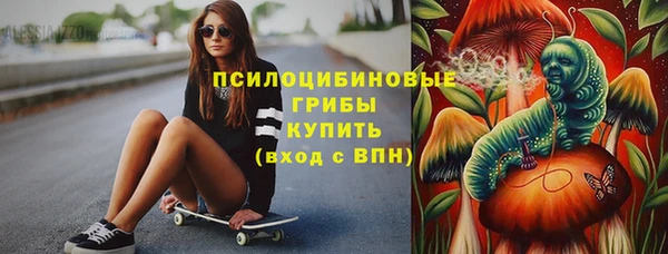 амф Алексин