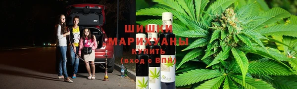 амф Алексин