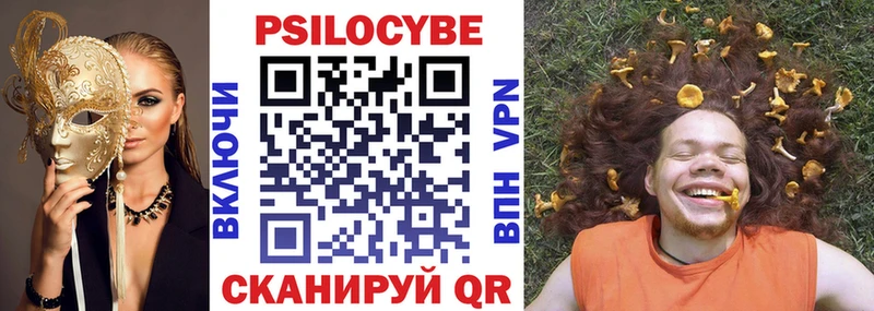 Псилоцибиновые грибы Psilocybine cubensis  Чапаевск 